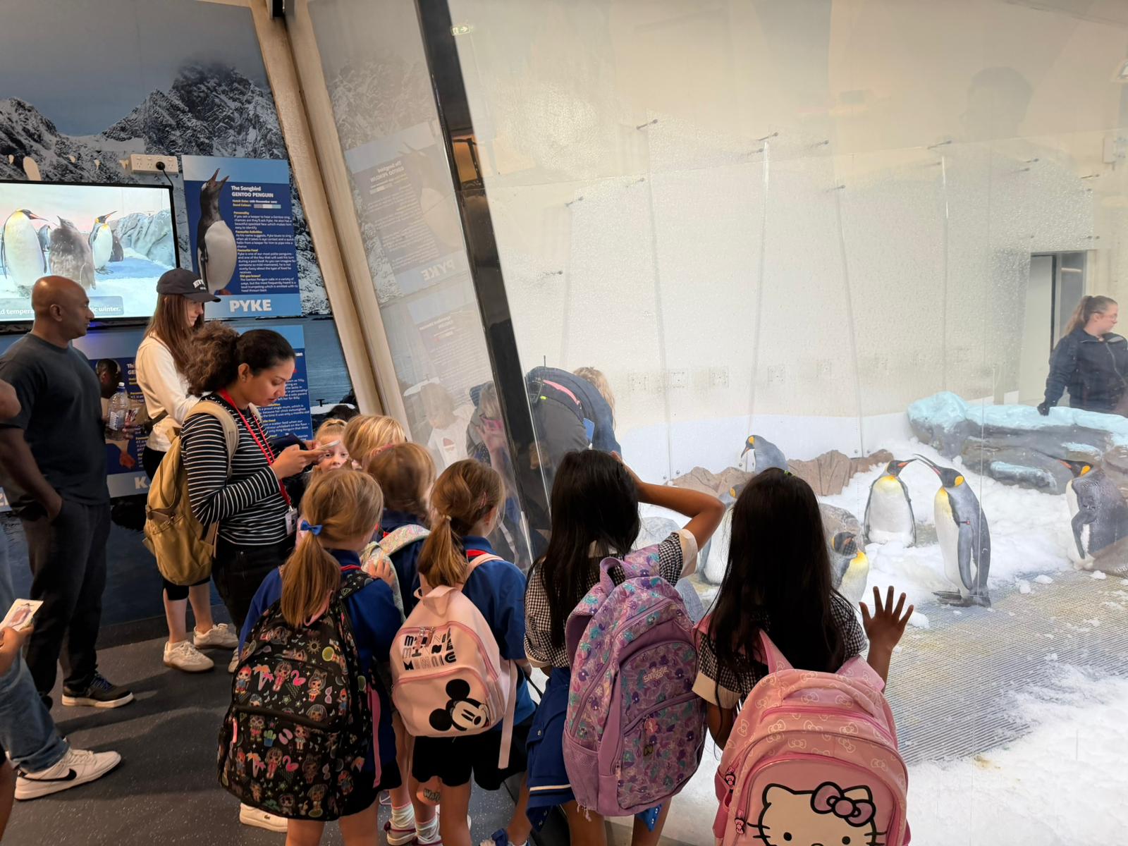 /uploaded_files/media/gallery/1776682164WhatsApp Image 2026-01-13 at 12.21.03 PM (2).jpeg